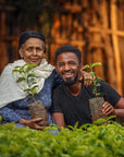 Etiopien - Mershiti