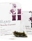 SENCHA CURRANT