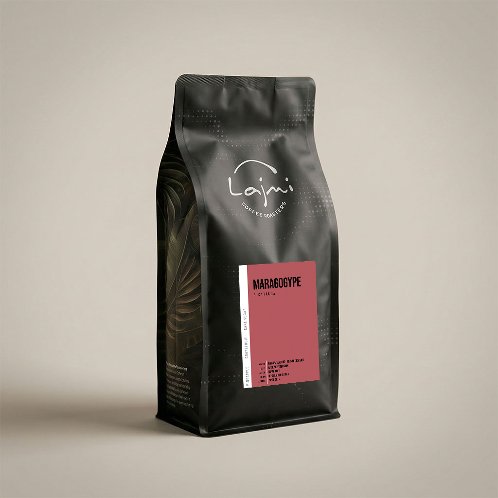 Nicaragua - Maragogype (KÆMPE)